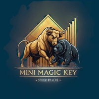 Mini MagicKey Auto PositonSize