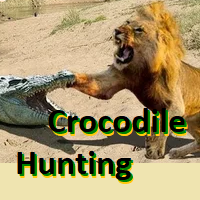 CrocodileHunting