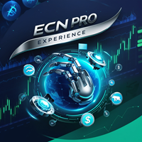 ECN Pro Experience