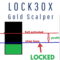 Lock30X