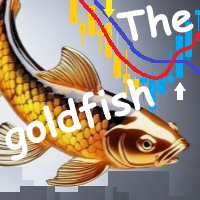 The goldfish