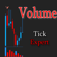 Volume Expert