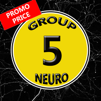 Group5 Neuro MT4