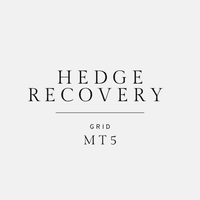 Hedge Recovery Grid MT5