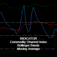 Triple Insight CCI Navigator