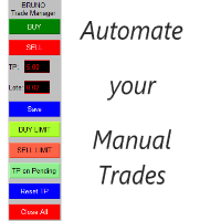 Trade Manager Bruno Automate your Manual Trades