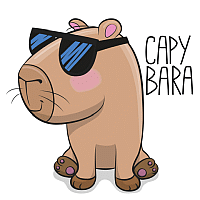 Capybara mt5