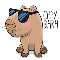 Capybara mt5