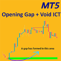 Opening Gap and Void ICT Indicator MT5