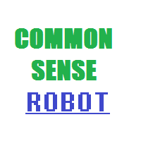 i robot common sense