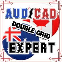 AuDCaD DG Expert