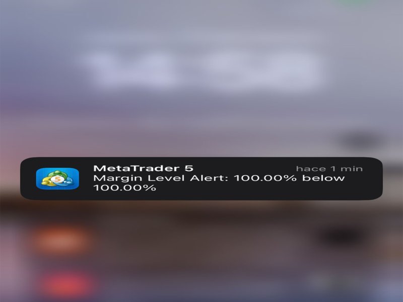Screenshot #7