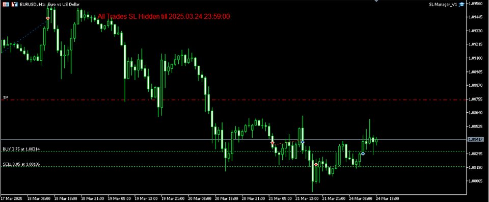 Screenshot #2 SL Manager