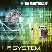 ILE System