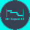 MFI Expert