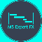 MS Expert