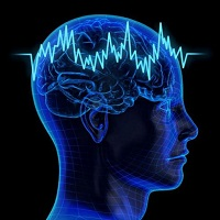 Neuron Learning