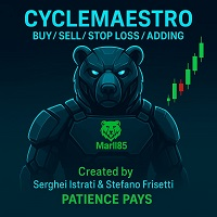 Cycle Maestro