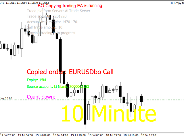 binary option copy trading