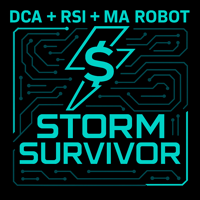 Storm Survivor