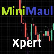 MiniMaulXpert