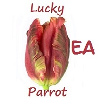 Lucky Parrot EA Manual MT5