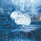 Intuitions Bot mt4