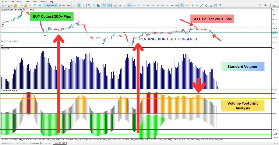 Screenshot #1 Volume Footprint Analysis MT5