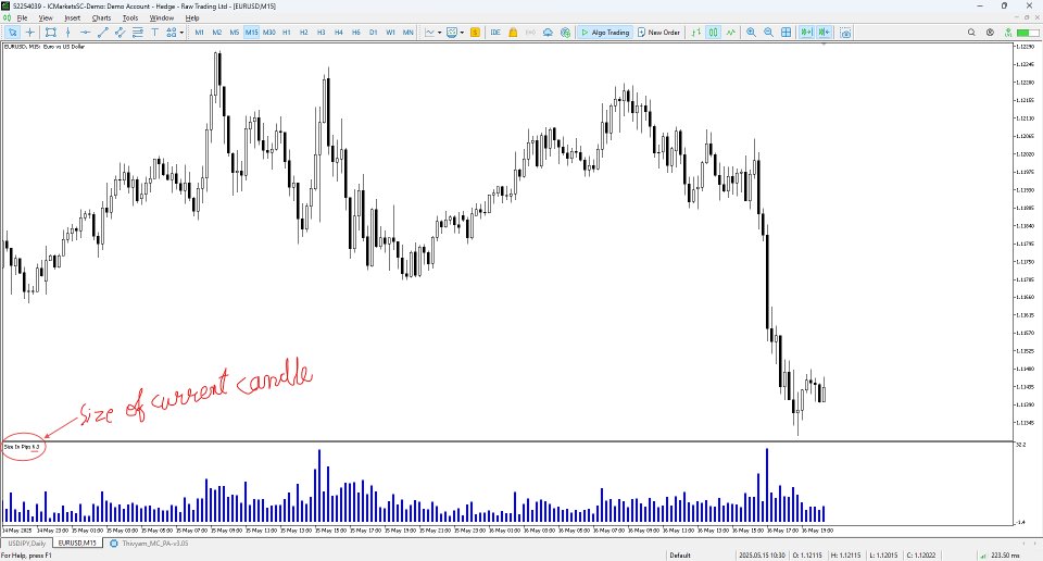 Screenshot #1 Candle Size in Pips