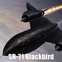 Blackbird