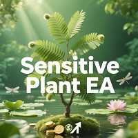 Sensitive Plant