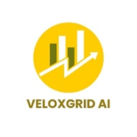 VeloxGrid AI