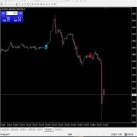 King Binary Forex Scalping