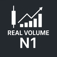 Real Volume N1