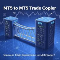 MT5 to MT5 Trade Copier