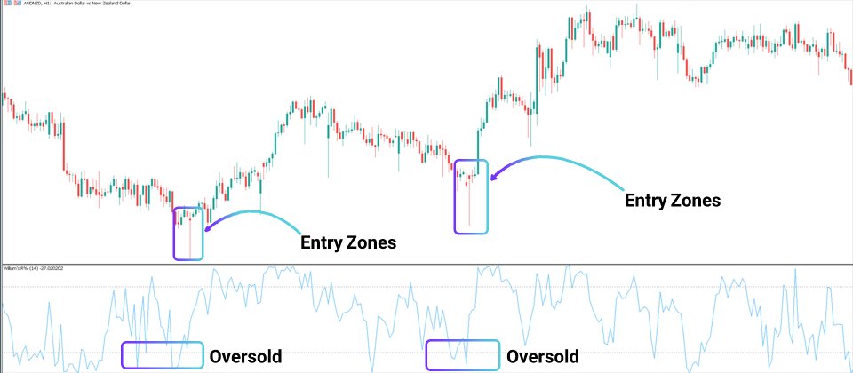 Captura de pantalla #3 William Percent Range Indicator MT5