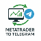 Metatrader TG