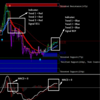 Scalping Road