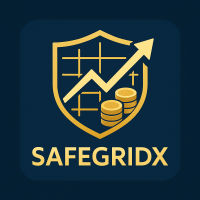 SafeGridX