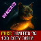WhisCats