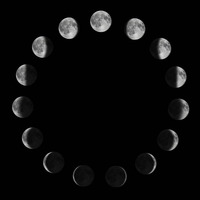 Moon Cycle