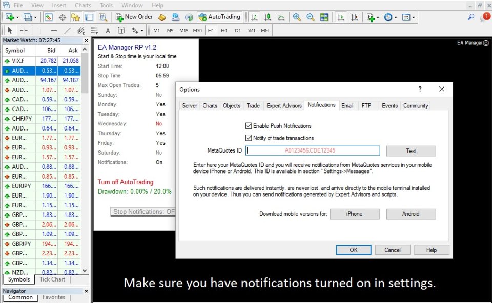 Imagens #3 EA Manager RP