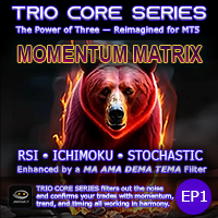 Momentum Matrix EP1