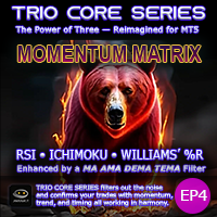 Momentum Matrix EP4