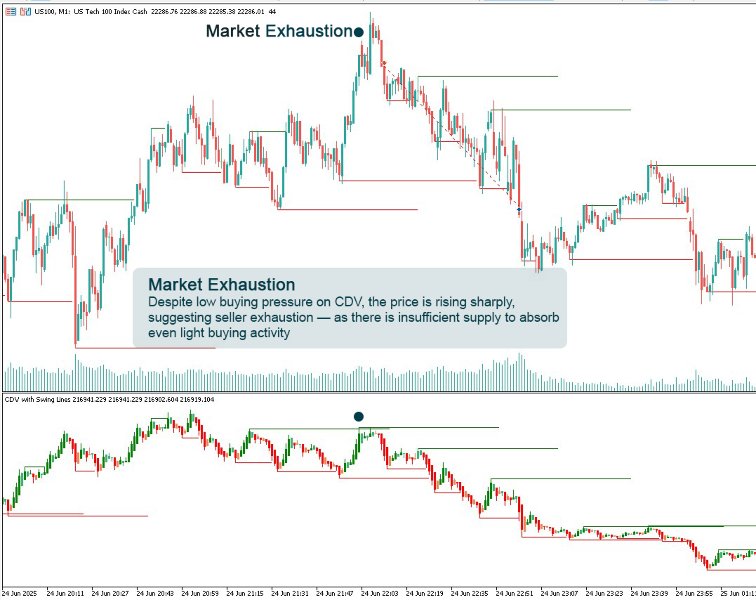 스크린샷 #4 CDV Swing Levels