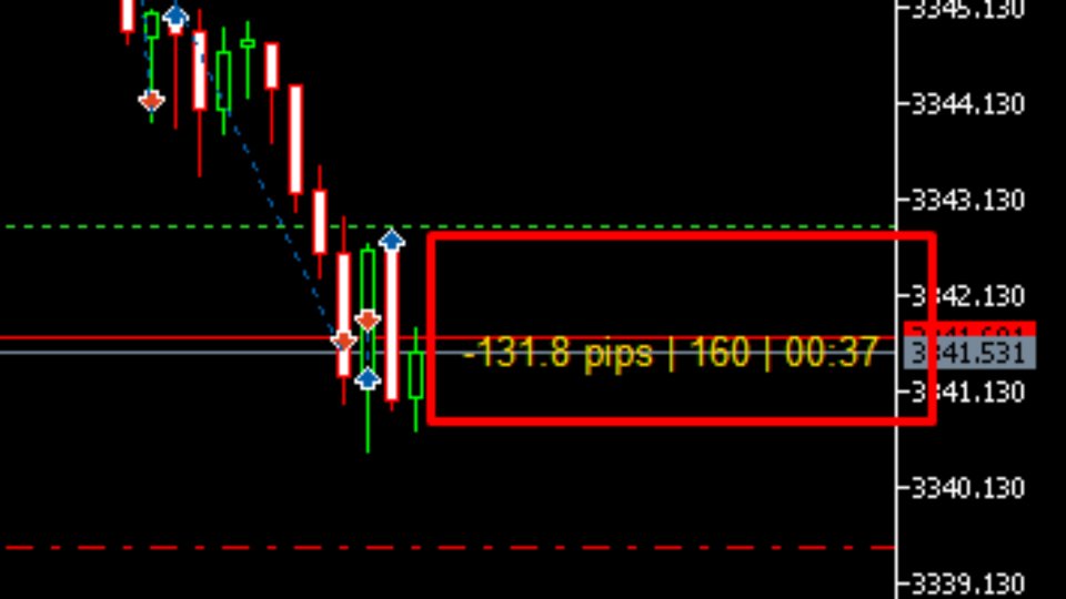 Captura de pantalla #1 Show Pip MT5