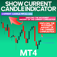 Show Current Candle Indicator MT4