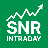 SNR Intraday