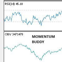 Momentum Buddy
