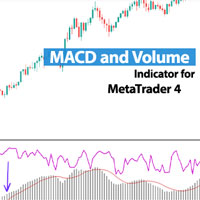 MACD and Volume Indicator MT4